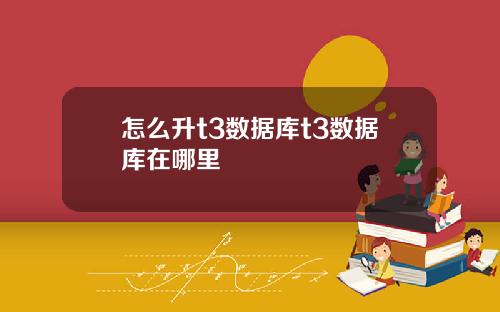 怎么升t3数据库t3数据库在哪里
