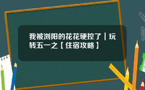 我被浏阳的花花硬控了｜玩转五一之【住宿攻略】