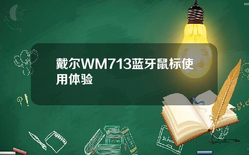 戴尔WM713蓝牙鼠标使用体验