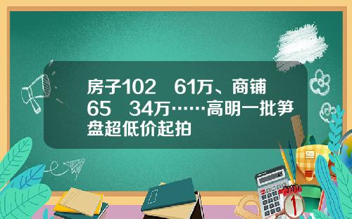 房子102㎡61万、商铺65㎡34万……高明一批笋盘超低价起拍