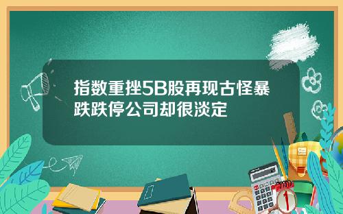 指数重挫5B股再现古怪暴跌跌停公司却很淡定