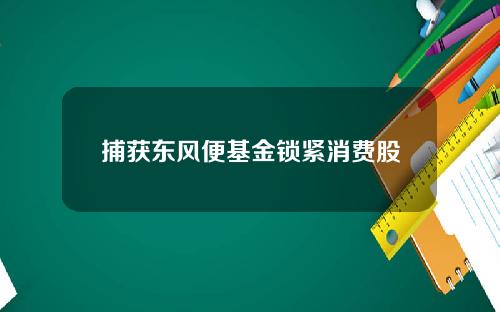 捕获东风便基金锁紧消费股