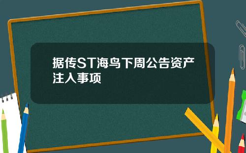 据传ST海鸟下周公告资产注入事项
