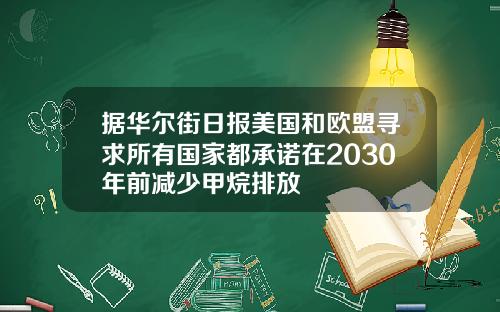据华尔街日报美国和欧盟寻求所有国家都承诺在2030年前减少甲烷排放