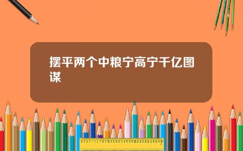 摆平两个中粮宁高宁千亿图谋