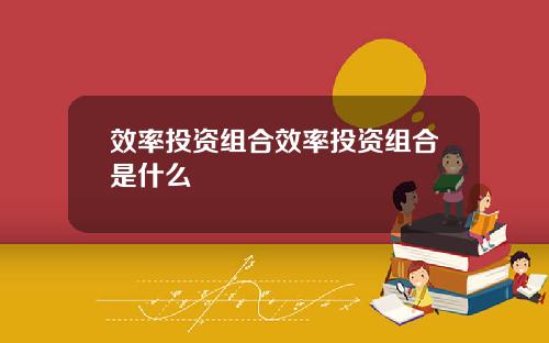 效率投资组合效率投资组合是什么