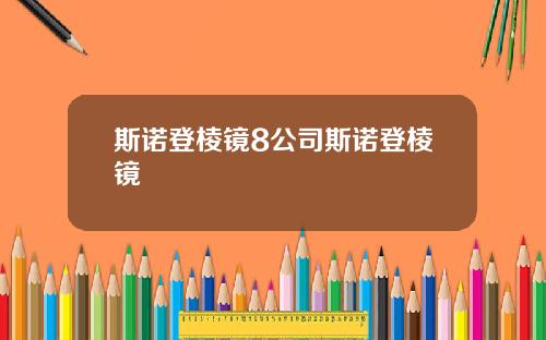 斯诺登棱镜8公司斯诺登棱镜