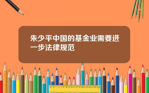 朱少平中国的基金业需要进一步法律规范