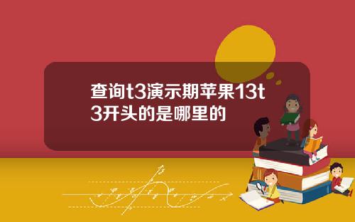 查询t3演示期苹果13t3开头的是哪里的