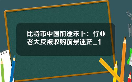 比特币中国前途未卜：行业老大反被收购前景迷茫_1