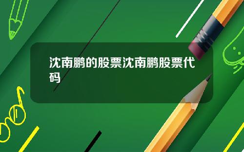 沈南鹏的股票沈南鹏股票代码
