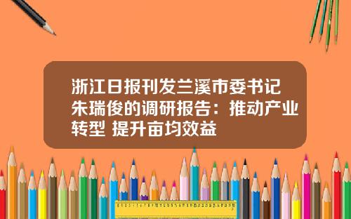 浙江日报刊发兰溪市委书记朱瑞俊的调研报告：推动产业转型 提升亩均效益