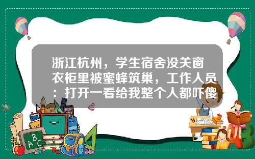 浙江杭州，学生宿舍没关窗衣柜里被蜜蜂筑巢，工作人员：打开一看给我整个人都吓傻了