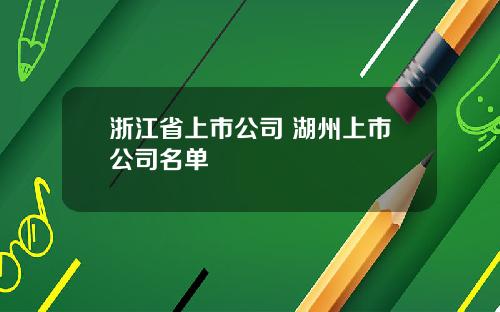 浙江省上市公司 湖州上市公司名单