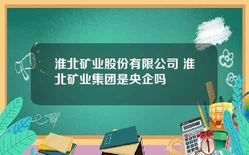 淮北矿业股份有限公司 淮北矿业集团是央企吗