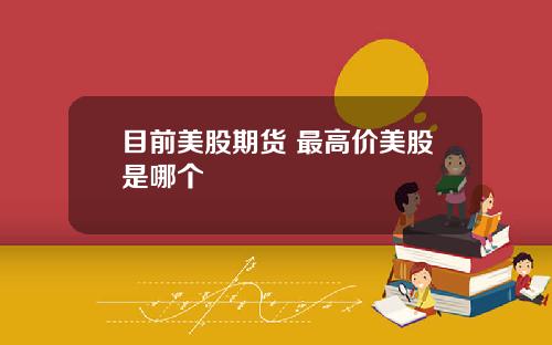 目前美股期货 最高价美股是哪个