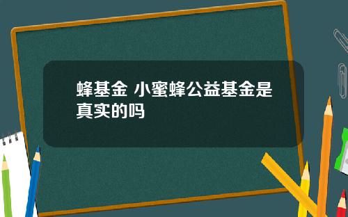 蜂基金 小蜜蜂公益基金是真实的吗