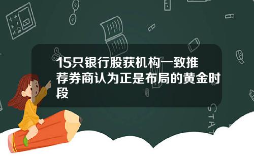 15只银行股获机构一致推荐券商认为正是布局的黄金时段