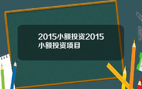 2015小额投资2015小额投资项目