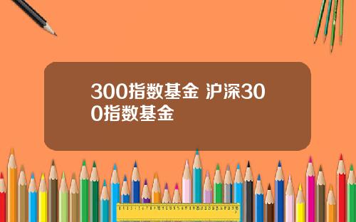 300指数基金 沪深300指数基金