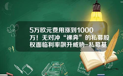 5万欧元费用涨到1000万！无对冲“裸奔”的私募股权面临利率飙升威胁-私募基金利息