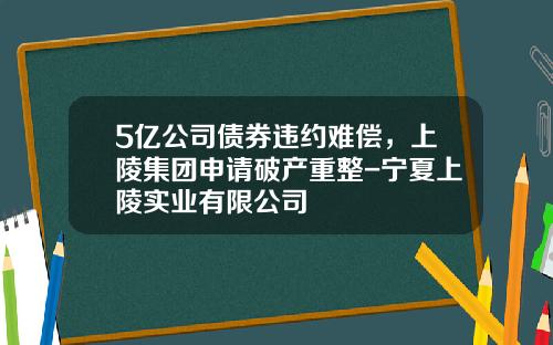 5亿公司债券违约难偿，上陵集团申请破产重整-宁夏上陵实业有限公司