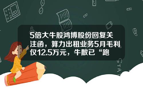 5倍大牛股鸿博股份回复关注函，算力出租业务5月毛利仅12.5万元，牛散已“跑路”-有技术没资金在企业应得多少股份