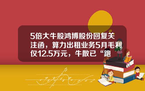 5倍大牛股鸿博股份回复关注函，算力出租业务5月毛利仅12.5万元，牛散已“跑路”-002229最高多少