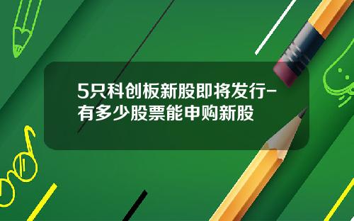 5只科创板新股即将发行-有多少股票能申购新股