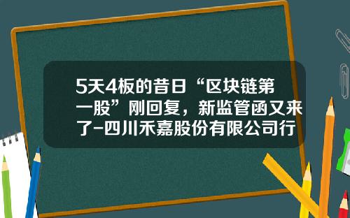 5天4板的昔日“区块链第一股”刚回复，新监管函又来了-四川禾嘉股份有限公司行业分析