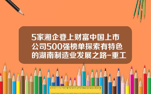 5家湘企登上财富中国上市公司500强榜单探索有特色的湖南制造业发展之路-重工企业上市公司