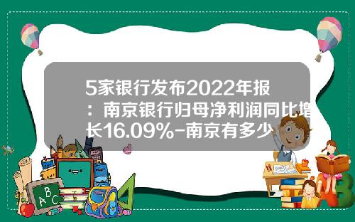 5家银行发布2022年报：南京银行归母净利润同比增长16.09%-南京有多少家金融机构