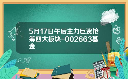 5月17日午后主力巨资抢筹四大板块-002663基金