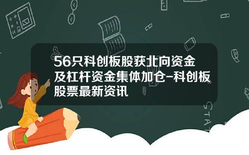 56只科创板股获北向资金及杠杆资金集体加仓-科创板股票最新资讯