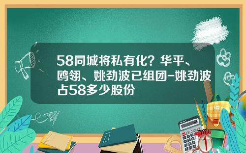 58同城将私有化？华平、鸥翎、姚劲波已组团-姚劲波占58多少股份