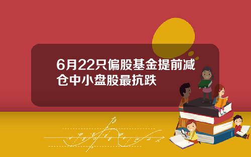 6月22只偏股基金提前减仓中小盘股最抗跌