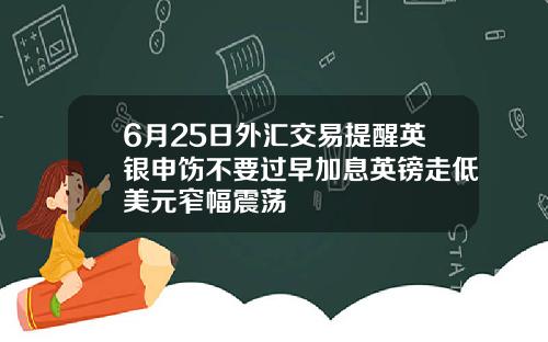6月25日外汇交易提醒英银申饬不要过早加息英镑走低美元窄幅震荡