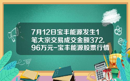 7月12日宝丰能源发生1笔大宗交易成交金额372.96万元-宝丰能源股票行情资讯