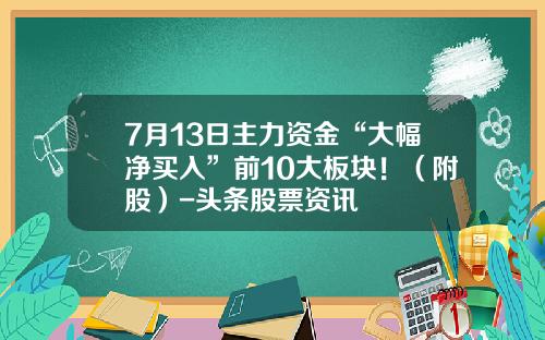 7月13日主力资金“大幅净买入”前10大板块！（附股）-头条股票资讯