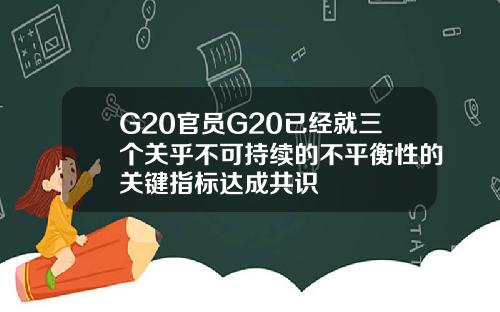 G20官员G20已经就三个关乎不可持续的不平衡性的关键指标达成共识