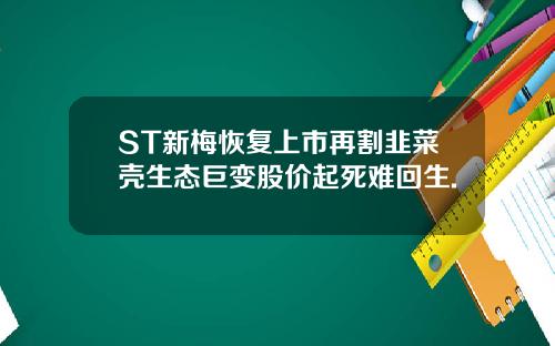 ST新梅恢复上市再割韭菜壳生态巨变股价起死难回生.