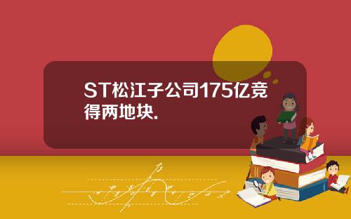 ST松江子公司175亿竞得两地块.