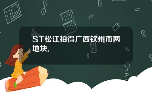 ST松江拍得广西钦州市两地块.
