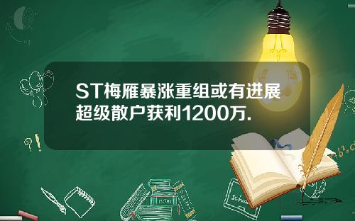 ST梅雁暴涨重组或有进展超级散户获利1200万.