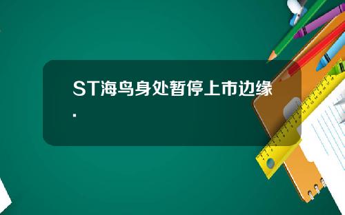 ST海鸟身处暂停上市边缘.