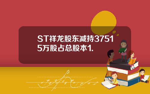 ST祥龙股东减持37515万股占总股本1.