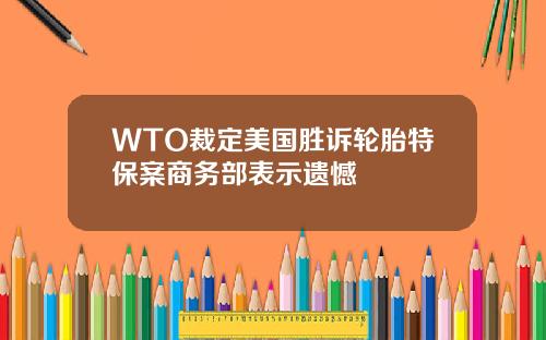 WTO裁定美国胜诉轮胎特保案商务部表示遗憾