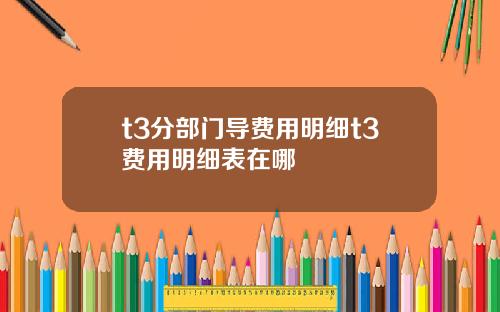 t3分部门导费用明细t3费用明细表在哪