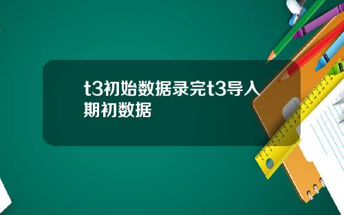 t3初始数据录完t3导入期初数据