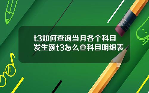 t3如何查询当月各个科目发生额t3怎么查科目明细表